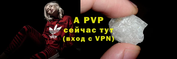 прущий лед Вяземский