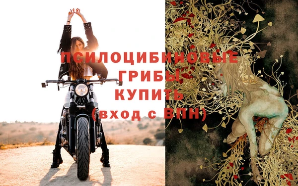 эйфоретик Дмитровск